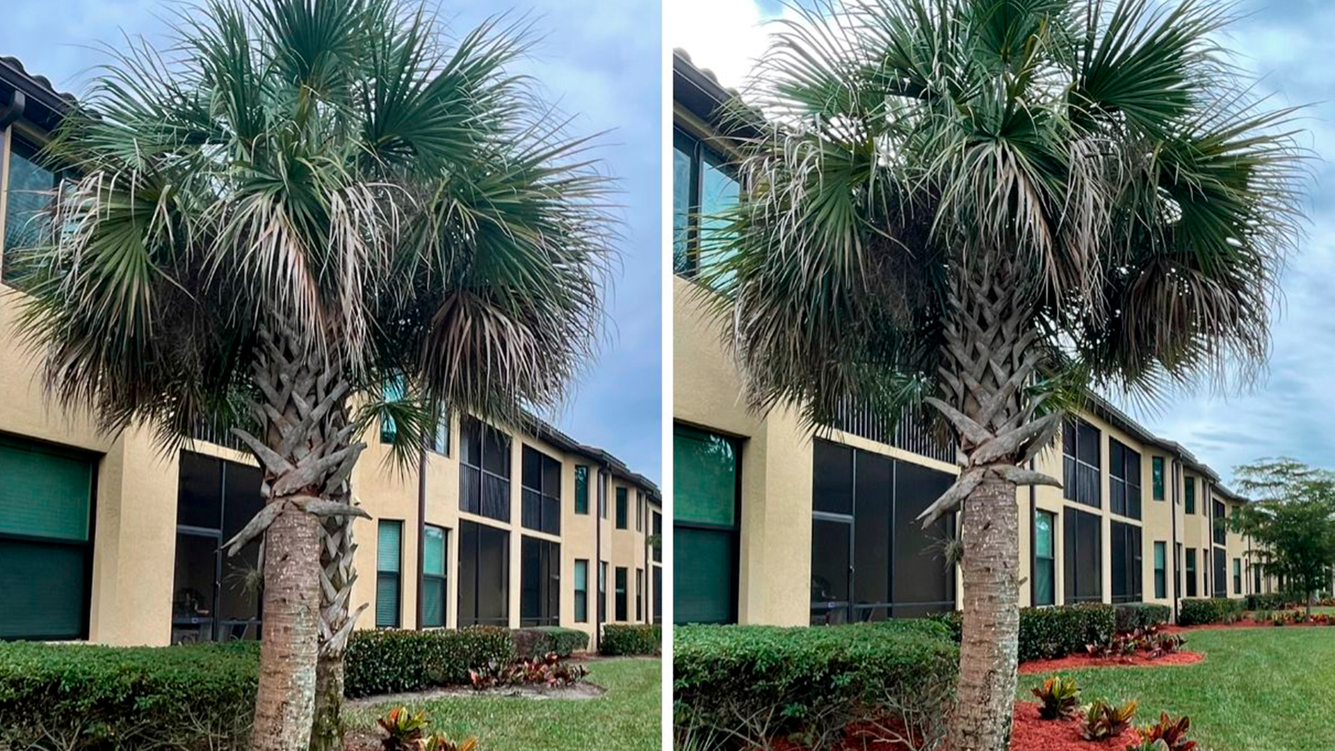 Lawn and Landscaping Services